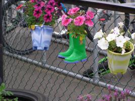 Welly boots and buckets put to good use by Sacred Heart Nursery.
